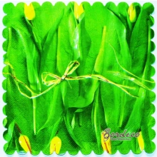 Serwetka do decoupage żółte tulipany 15x15 ADWI