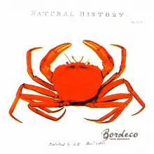 Serwetka do decoupage czerwony krab 33x33 AHA Unikat