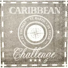 Serwetka do decoupage Caribbean Challenge 33x33 Ambiente Unikat