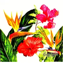 Serwetka do decoupage egzotyczne kwiaty 33x33 Ambiente Unikat