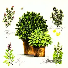 Serwetka do decoupage zioła w doniczkach 33x33 Ambiente Unikat