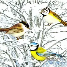 Serwetka do decoupage ptaszki w śnieżnej zimie 33x33AVANT GARDE. Unikat.