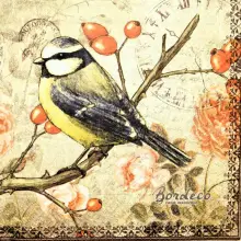 Serwetka do decoupage sikorka na gałązce dzikiej róży 33x33 COLOURFUL Unikat
