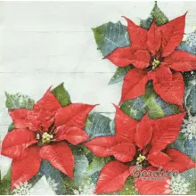 Serwetka do decoupage trzy poinsecje 33x33 DAISY