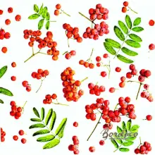 Serwetka do decoupage czerwona jarzębina 33x33 DAISY Unikat