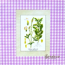 Serwetka decoupage obrazkiziół na fioletowej kartce 33x33 GOMAR