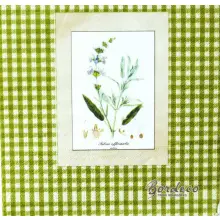 Serwetka decoupage obrazki ziół na zielonej kartce 33x33 GOMAR Unikat