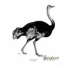 Serwetka do decoupage rysunek, szkic  strusia 33x33 H&M Unikat