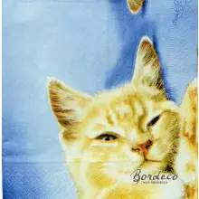 Serwetka decoupage rudy kotek 33x33 HRC Unikat