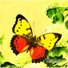 Serwetka do decoupage dwa kolorowe motyle 33x33 IHR Unikat