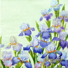 Serwetka do decoupage irysy, kosaćce  33x33 IHR Unikat