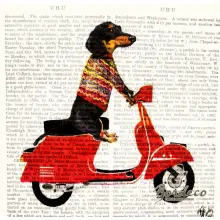 Serwetka do decoupage jamnik na vespie 33x33 IHR Unikat