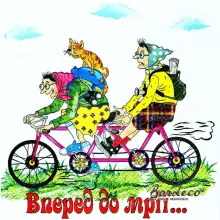 Serwetka do decoupage babcie na rowerze 33x33 LUXY Unikat