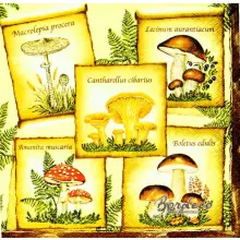 Serwetka do decoupage grzyby z opisami 33x33 MAKI Unikat