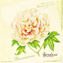 Serwetka do decoupage pastelowa peonia 33x33 MAKI Unikat
