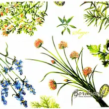 Serwetka do decoupage świeże zioła 33x33 MAKI Unikat