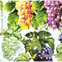 Serwetka do decoupage winogrona 33x33 MICHEL Unikat