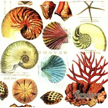 Serwetka do decoupage muszle 33x33 MICHEL Unikat