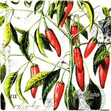 Serwetka do decoupage czerwone papryczki chili 33x33 MICHEL Unikat