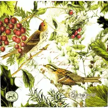 Serwetka do decoupage egzotyczne ptaki i dzikie owoce 33x33 MICHEL Unikat