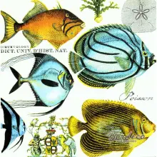 Serwetka do decoupage tropikalne ryby 33x33 MICHEL