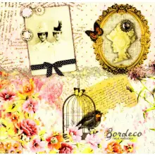 Serwetka do decoupage fotografia, medalion, ptaszek, kolaż vintage 33x33 NOUVEAU Unikat