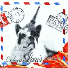 Serwetka do decoupage pies, buldog francuski 33x33 ORVAL Unikat