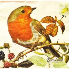 Serwetka do decoupage rudzik na gałązce ostrężyny 33x33 PAW Unikat