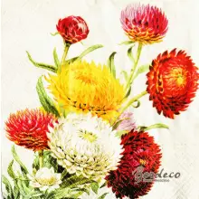 Serwetka do decoupage kwiaty suchołuski, kocanki 33x33 PAW Unikat