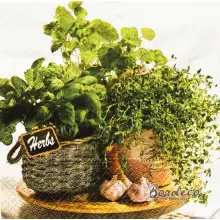 Serwetka do decoupage zioła z czosnkiem 33x33 PAW Unikat