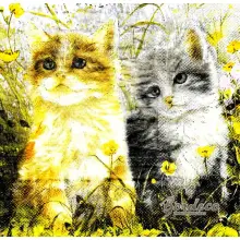 Serwetka do decoupage dwa koty na łące 33x33 PIXIE Unikat