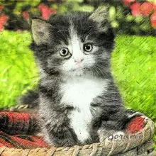 Serwetka do decoupage kotek w legowisku 33x33 PIXIE Unikat