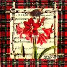 Serwetka do decoupage amarylis, czerwona porzeczka 33x33 PPD Unikat