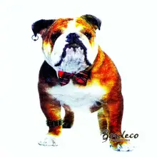 Serwetka do decoupage pies, buldog angielski 33x33 PPD Unikat