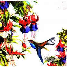 Serwetka do decoupage koliber i fuksje 33x33 PPD Unikat