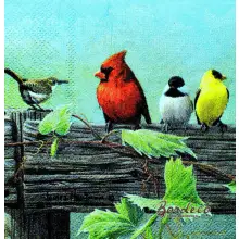 Serwetka do decoupage kolorowe ptaszki na płocie 25x25 PPD Unikat