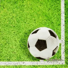 Serwetka do decoupage piłka nożna na trawie 33x33 PROCOS Unikat