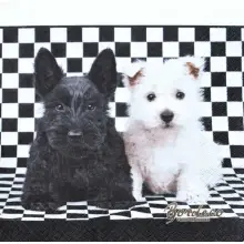 Serwetka do decoupage dwa pieski, biały i czarny 33x33 Paper+Design Unikat