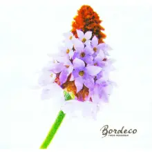 Serwetka do decoupage rozkwitający fioletowy pąk kwiatowy 33x33 Paper+Design Unikat