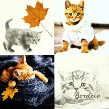 Serwetka do decoupage urocze małe kotki 33x33 Paper+Design Unikat