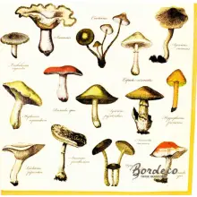 Serwetka do decoupage atlas grzybów leśnych 33x33 R&F Unikat