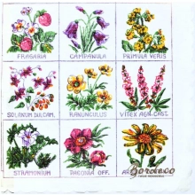 Serwetka do decoupage kwiaty z opisami 33x33 R&F Unikat