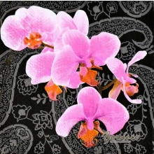 Serwetka do decoupage różowy storczyk, orchidea 33x33 R&F Unikat