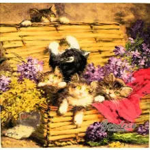 Serwetka do decoupage kotki w skrzyni 33x33 R2S Unikat