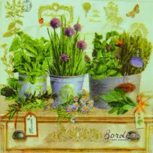 Serwetka do decoupage zioła w doniczkach 33x33 R2S Unikat