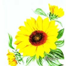 Serwetka do decoupage słonecznik 33x33 WIDA Unikat
