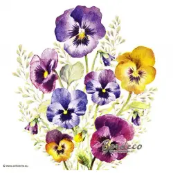 AMBIENTE Holandia 25x25