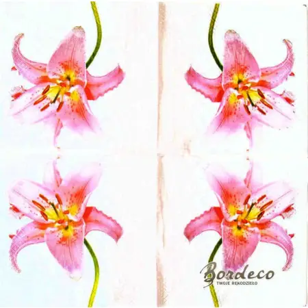 Serwetka do decoupage różowa lilia 33x33 Paper+Design Unikat
