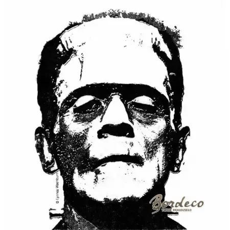 Serwetka do decoupage Frankenstein 33x33 Ambiente Unikat