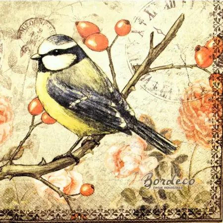 Serwetka do decoupage sikorka na gałązce dzikiej róży 33x33 COLOURFUL Unikat
